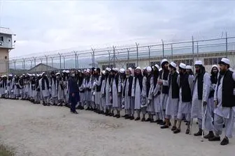 درخواست طالبان برای آزادی ۶۰۰ زندانی 