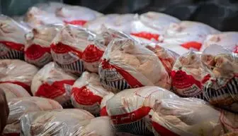 آغاز توزیع روزانه هزار تن مرغ منجمد با قیمت ۴۵ هزار تومان
