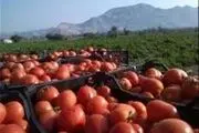 خرید دسترنج کشاورزان به قیمت یک پفک
