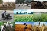 پرتقال‌های دولتی سر از بازار آزاد درآورد