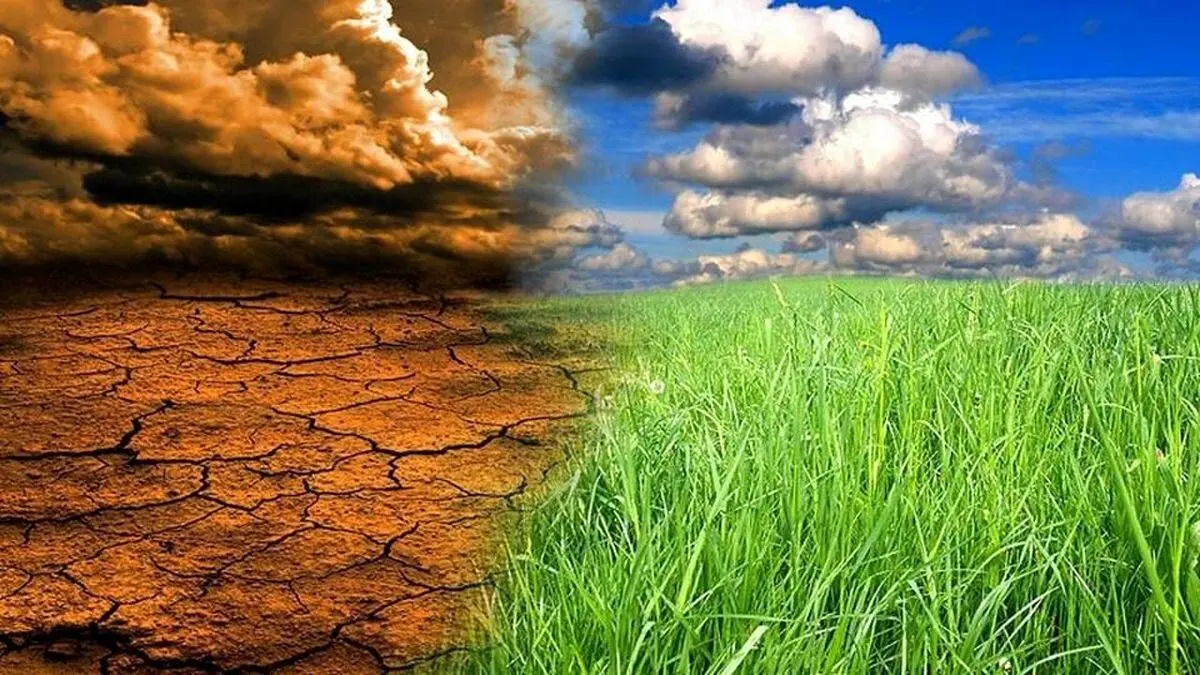 دکتر تینا صفایی برنده جایزه زنان کوشا در تغییرات اقلیمی شد
