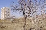 از ممنوعیت بلند مرتبه سازی در تهران تا ساخت برج‌های سر به فلک کشیده
