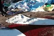 ساچمه های بمب علت اصلی شهادت هم وطنان در حادثه تروریستی کرمان