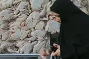 نشست تنظیم ‌بازار تخم‌مرغ در ریاست جمهوری