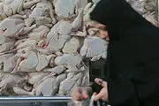 نشست تنظیم ‌بازار تخم‌مرغ در ریاست جمهوری