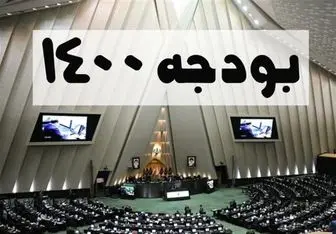 مجلس در تصویب بودجه رویکرد سیاسی ندارد