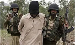 دستگیری یکی از فرماندهان طالبان توسط ناتو
