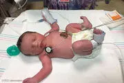 روزانه ۲ نوزاد در مشهد رها می‌شوند