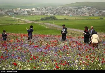 طبیعت