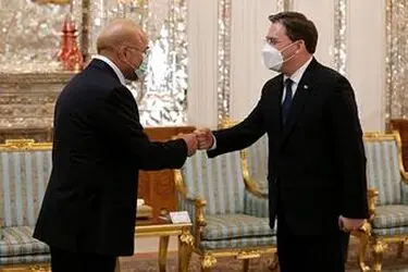 دیدار وزیر امور خارجه صربستان با رئیس مجلس