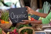 از محصولات ارگانیک و 10 فایده برتر آنها بیشتر بدانید
