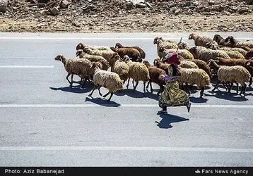 کوچ عشایر