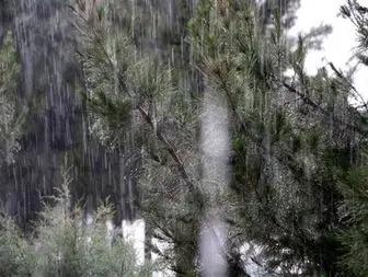 

بارش باران تابستانه و غافلگیری مردم میاندوآب + تصاویر