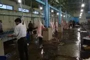 فعالیت 25 مرکز ارائه خدمات ذبح شرعی دام در تهران