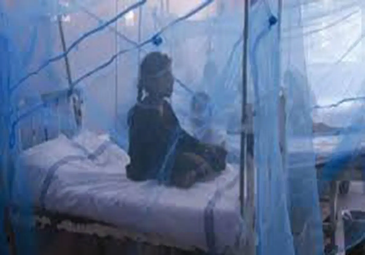 
کشته شدن 40 نفر بر اثر تب دنگی 