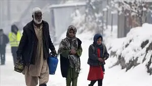 
مرگ بیش از ۱۶۰ افغان در سرما
