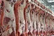 واردات گوشت گرم گوسفندی از اواسط هفته آینده
