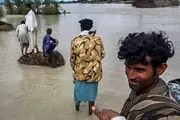  ۵۰ تن گوشت قرمز و هزار تن ذرت و جو به مناطق سیل زده ارسال شد 