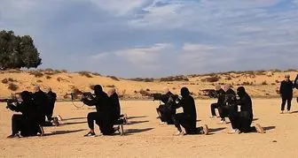 ۱۴ شبه نظامی در صحرای سینای مصر کشته شدند 