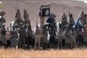 کمک هزار دلاری قطر به هر داعشی