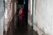 برق تمام مناطق شهری و روستایی شهرستان اشنویه وصل شد
