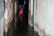 برق تمام مناطق شهری و روستایی شهرستان اشنویه وصل شد