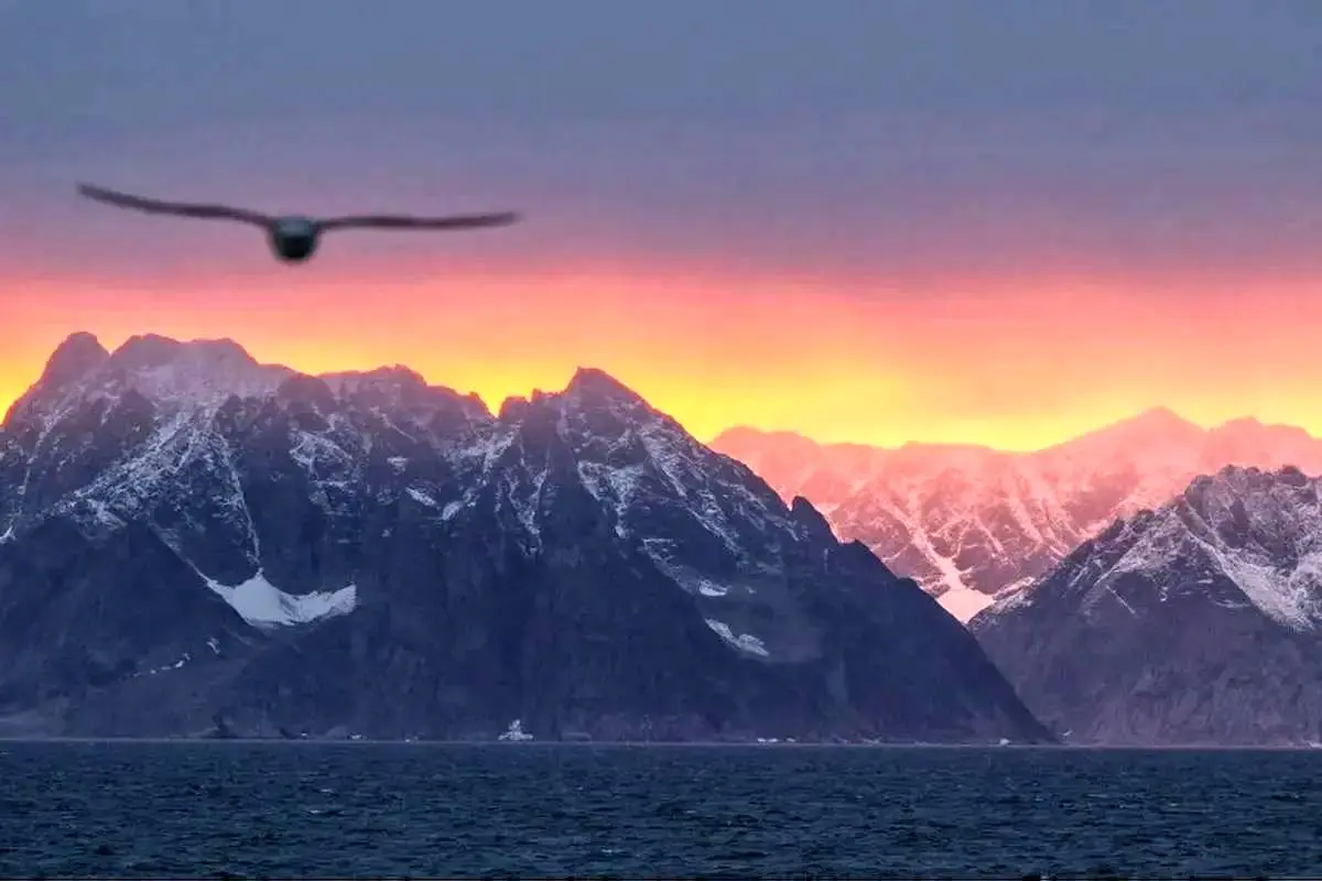 پس از ونزوئلا، آیا گرینلند هدف بعدی ترامپ است؟