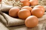 کدام قسمت تخم مرغ پروتئین بیشتری دارد؟
