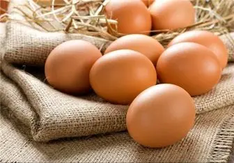 کدام قسمت تخم مرغ پروتئین بیشتری دارد؟
