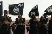 بازداشت ۳۵۷ داعشی در ترکیه