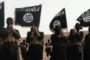 بازداشت ۳۵۷ داعشی در ترکیه