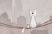 گربه سفید ایرانی در راه آمریکا و انگلیس