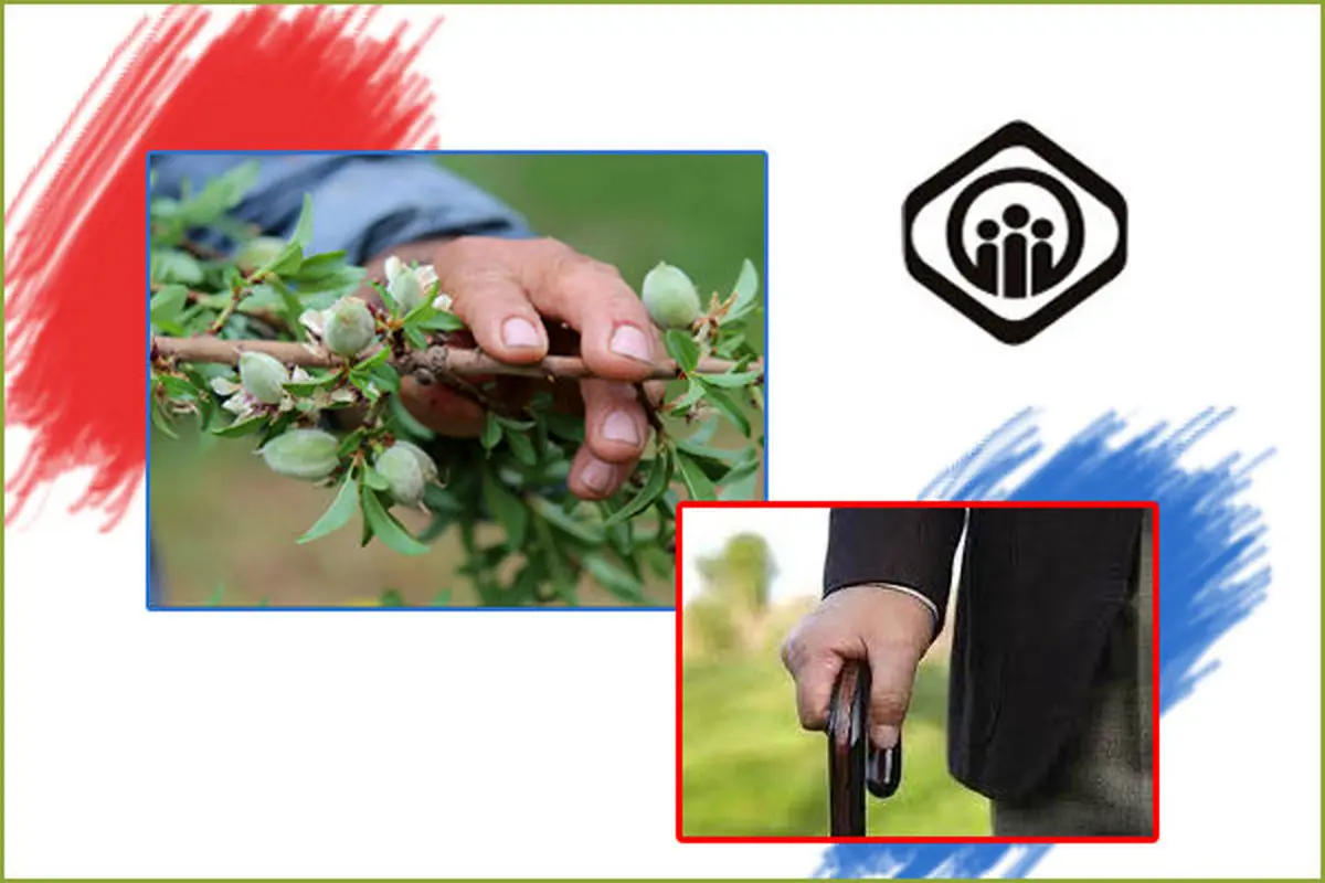 میزان مستمری بر اساس مدت و مبلغ بیمهپردازی چگونه محاسبه می شود؟