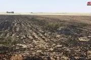آمریکایی‌ها مزارع گندم سوریه را آتش می‌زنند