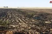 آمریکایی‌ها مزارع گندم سوریه را آتش می‌زنند
