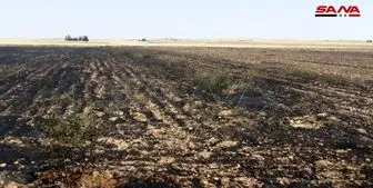 آمریکایی‌ها مزارع گندم سوریه را آتش می‌زنند