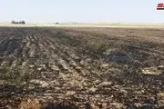 آمریکایی‌ها مزارع گندم سوریه را آتش می‌زنند