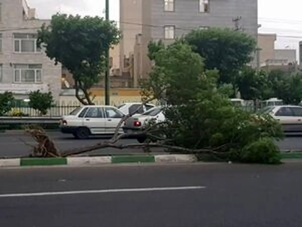 بارش پراکنده در برخی استانها / وزش باد در غالب نقاط کشور