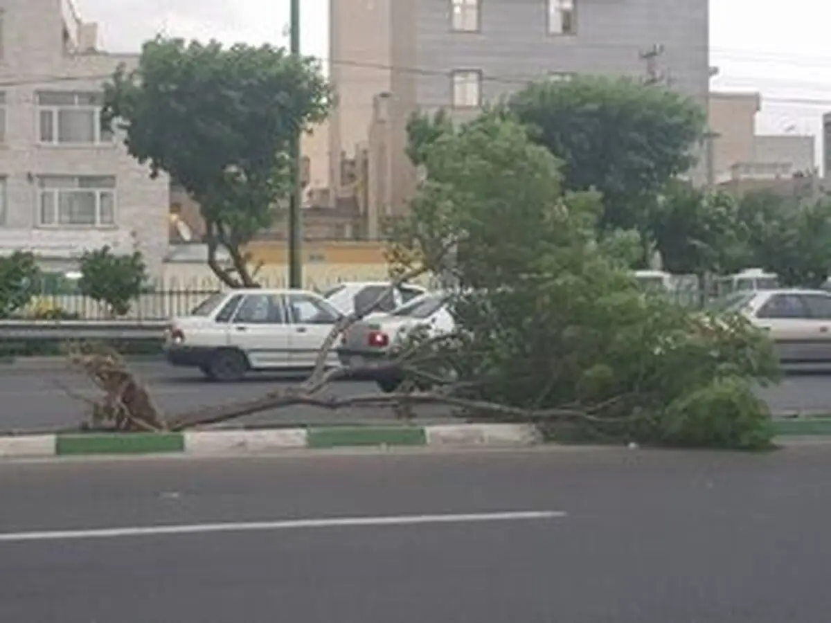 هشدار نارنجی هواشناسی به این ۵ استان
