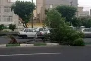 هشدار زرد هواشناسی درباره طوفان در تهران 