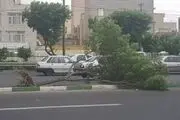 هشدار نارنجی هواشناسی به این ۵ استان

