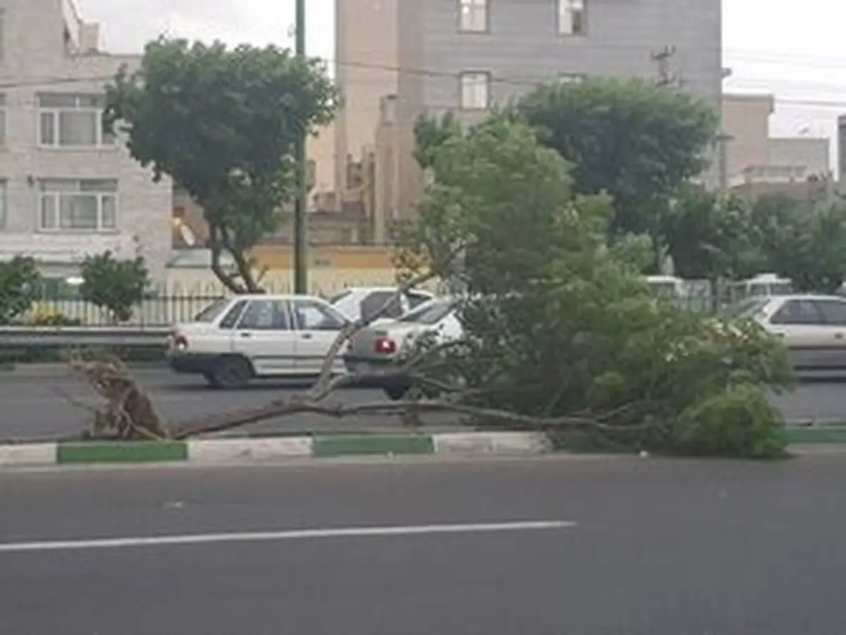 وزش باد و رگبار پراکنده در نقاط مختلف کشور
