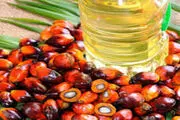 ۳۰ درصد روغن‌های سرخ کردنی پالم است
