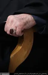14041130_2762699