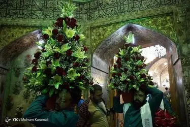 گل آرایی ضریح مطهر حضرت معصومه(س)/ گزارش تصویری 