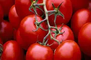 خواص عجیب آب گوجه فرنگی