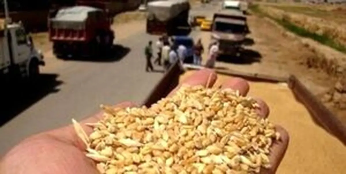 کشف محموله تریاک با طعم جو
