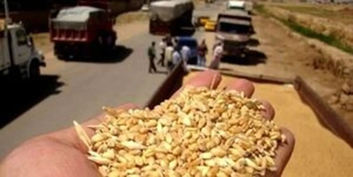کشف محموله تریاک با طعم جو