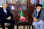 بررسی مسائل مهاجران افغانستان در گفت‌وگوی سفیر ایران و حکمتیار