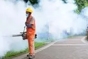 ۷ هزار مورد ابتلا به ویروس «چیکونگونیا» در چین